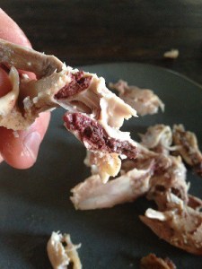 bone marrow