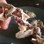 bone marrow