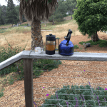 Gabe Kapler's yerba mate
