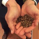 Gabe Kapler with coffee beans