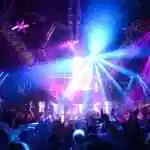 Work Hard, Play Hard?