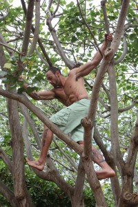 Gabe Kapler in a tree